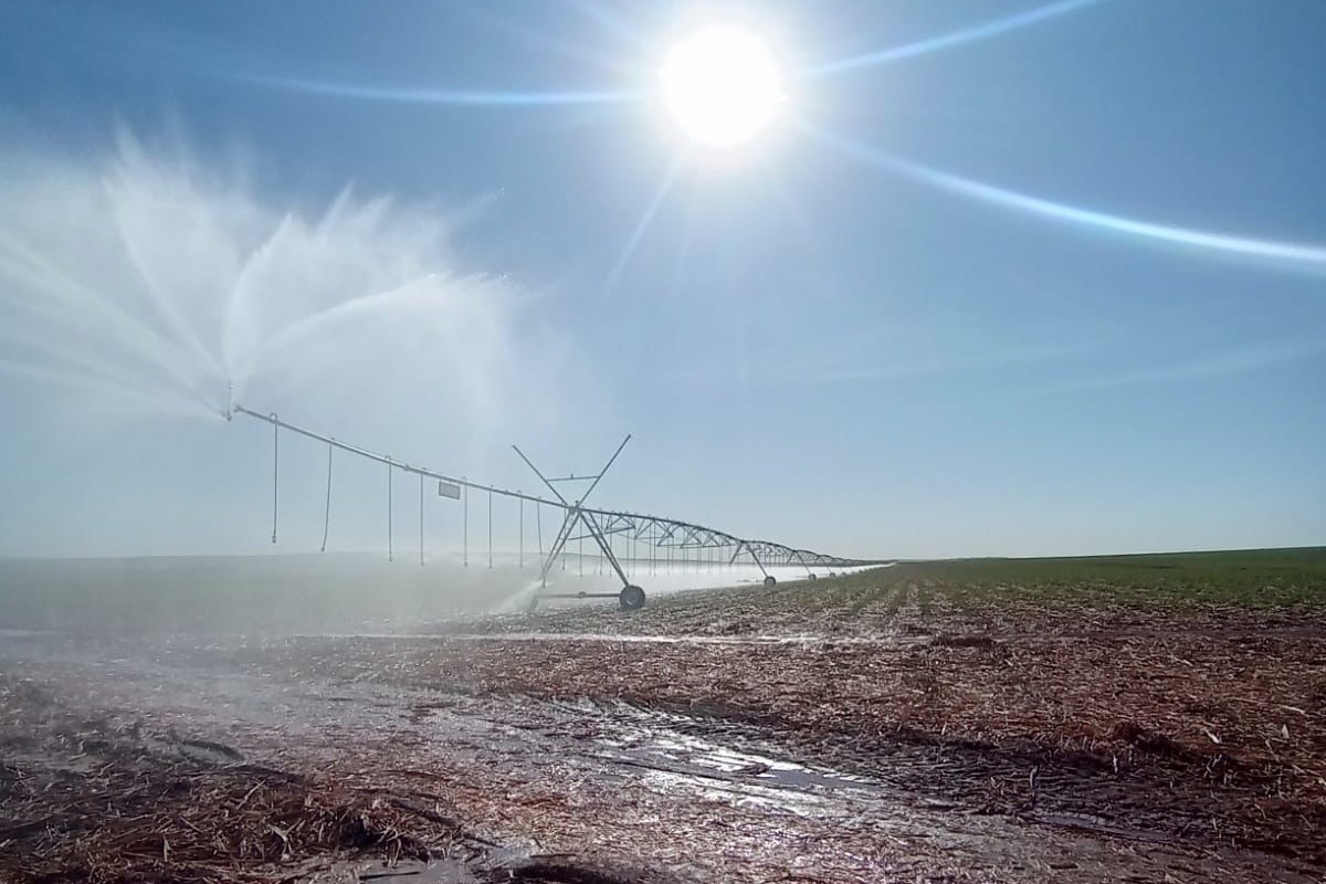 Custo para implantação de um pivô central é de R$ 22 mil por hectare. Foto: Lasa/Divulgação