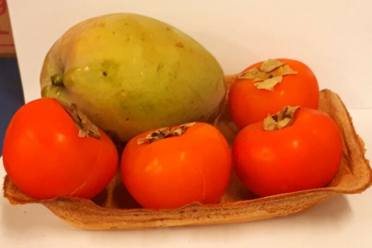 Pesquisadores criam bandejas de amido e cúrcuma como alternativa ao isopor