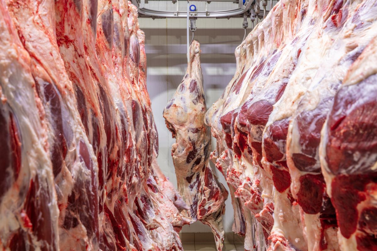 Impasse entre Marfrig e Minerva ganha peso devido à tarifa dos EUA sobre a carne bovina brasileira. Foto: Adobe Stock