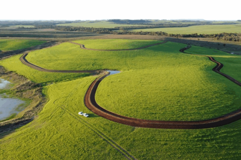 RS: Programa Terra Forte abre inscrições para agricultores familiares