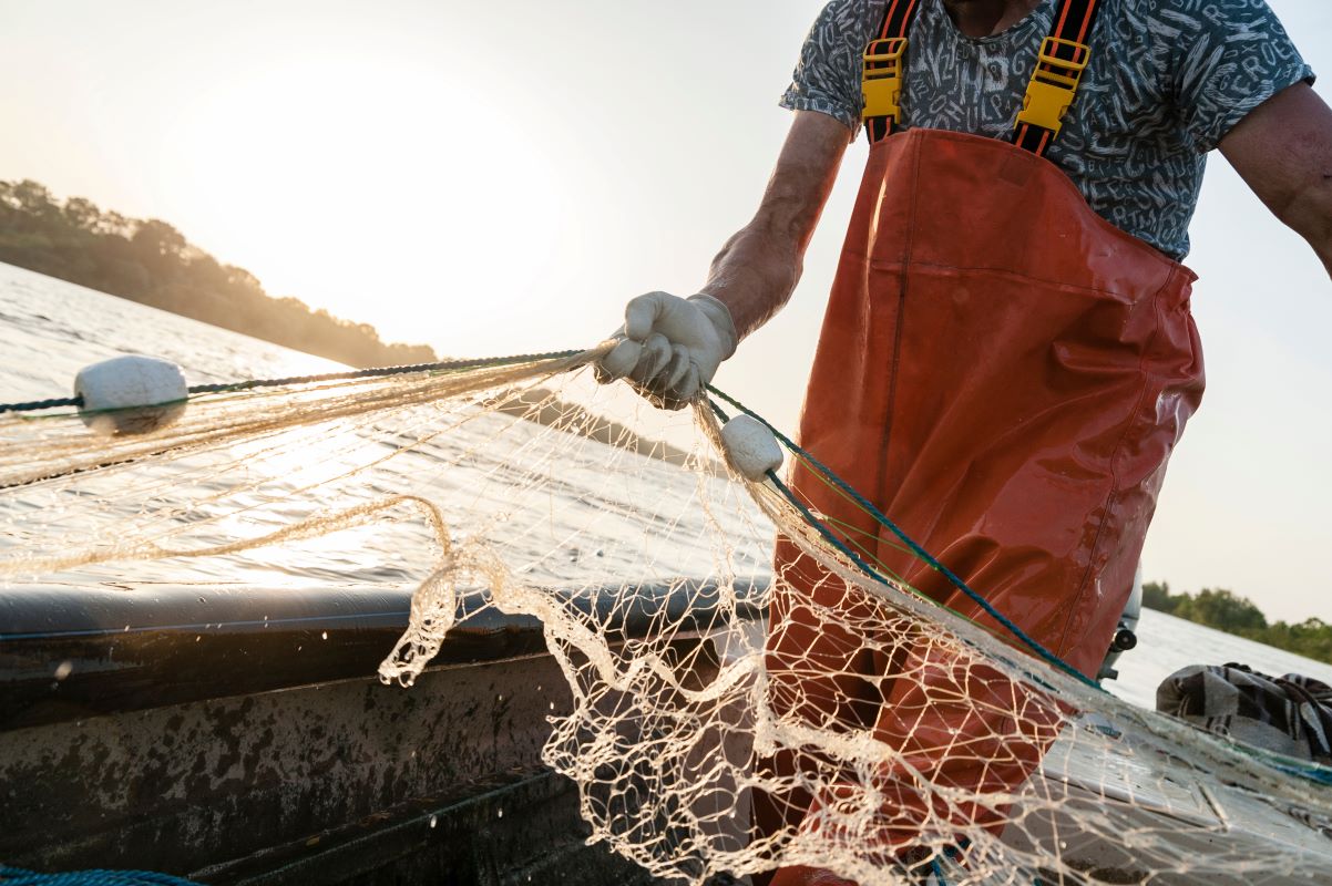 Total de pescadores registrados no Brasil passou 1 milhão em 2022 para 1,7 milhão em maio de 2025. Foto: Adobe Stock