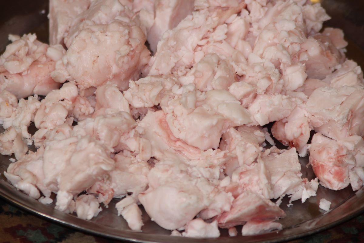 Singapura utiliza sebo bovino para a produção de biocombustíveis. Foto: Adobe Stock