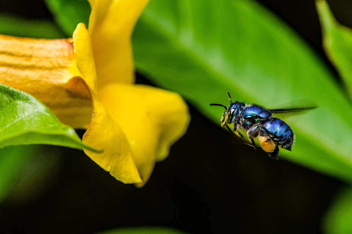 Foto: Adobe Stock