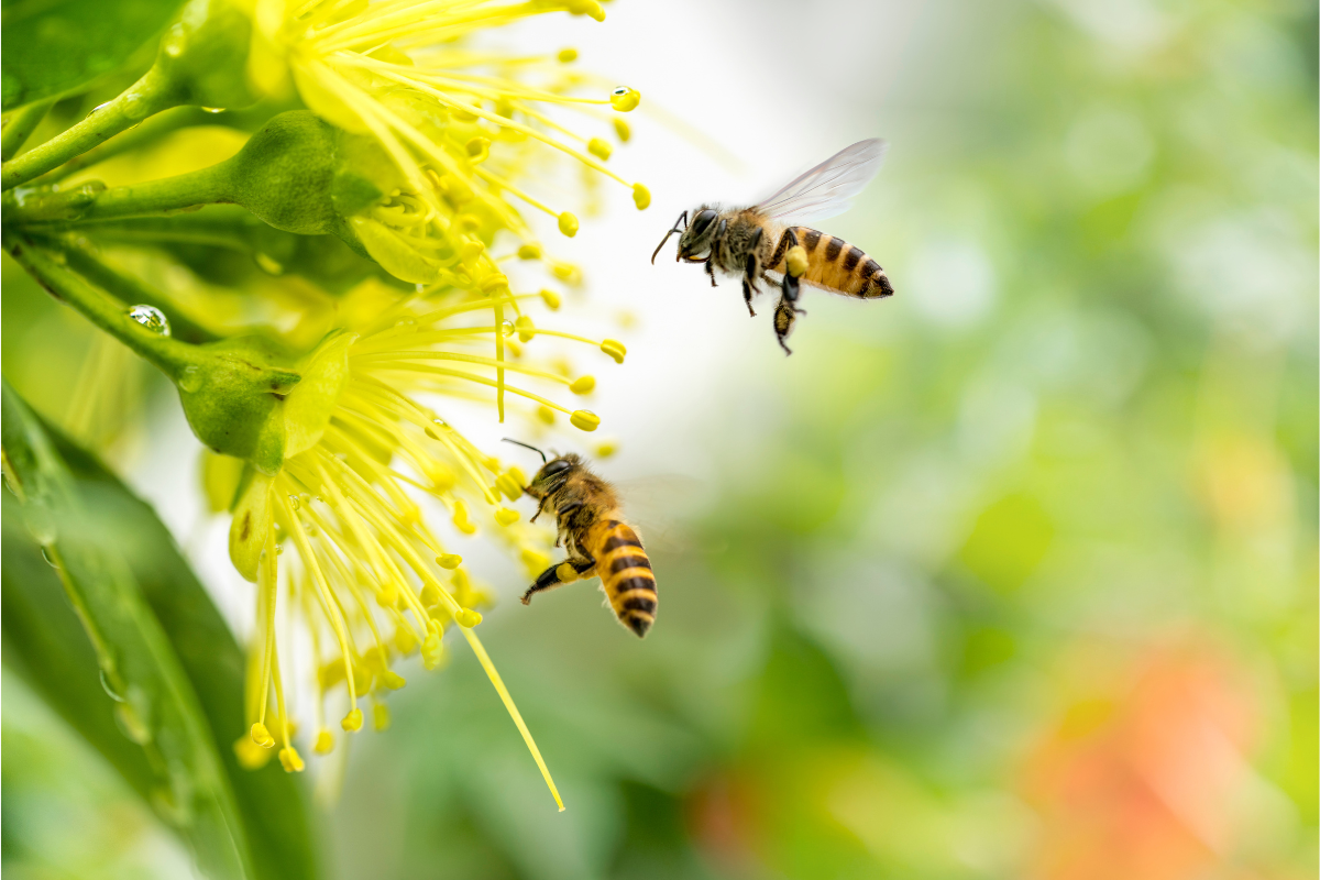 Foto: Adobe Stock