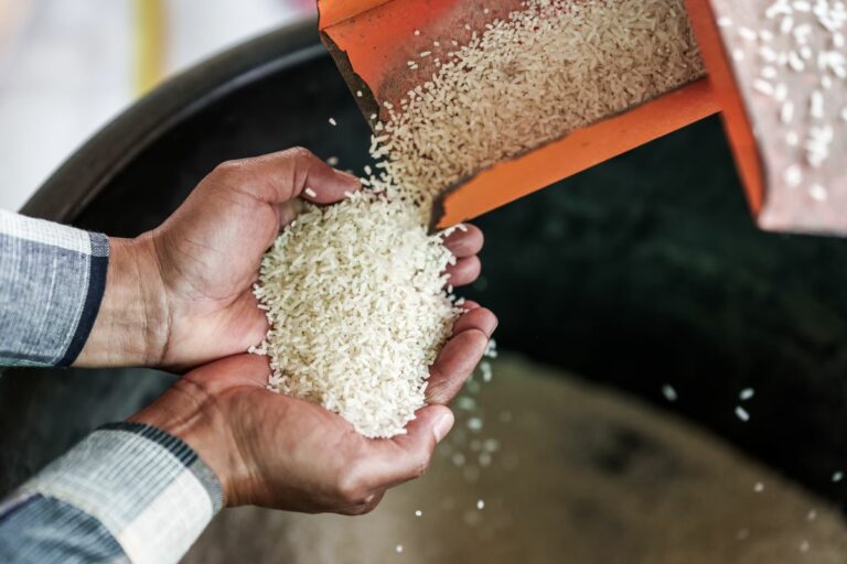 Conab anuncia intenção de comprar cerca de 200 mil toneladas de arroz
