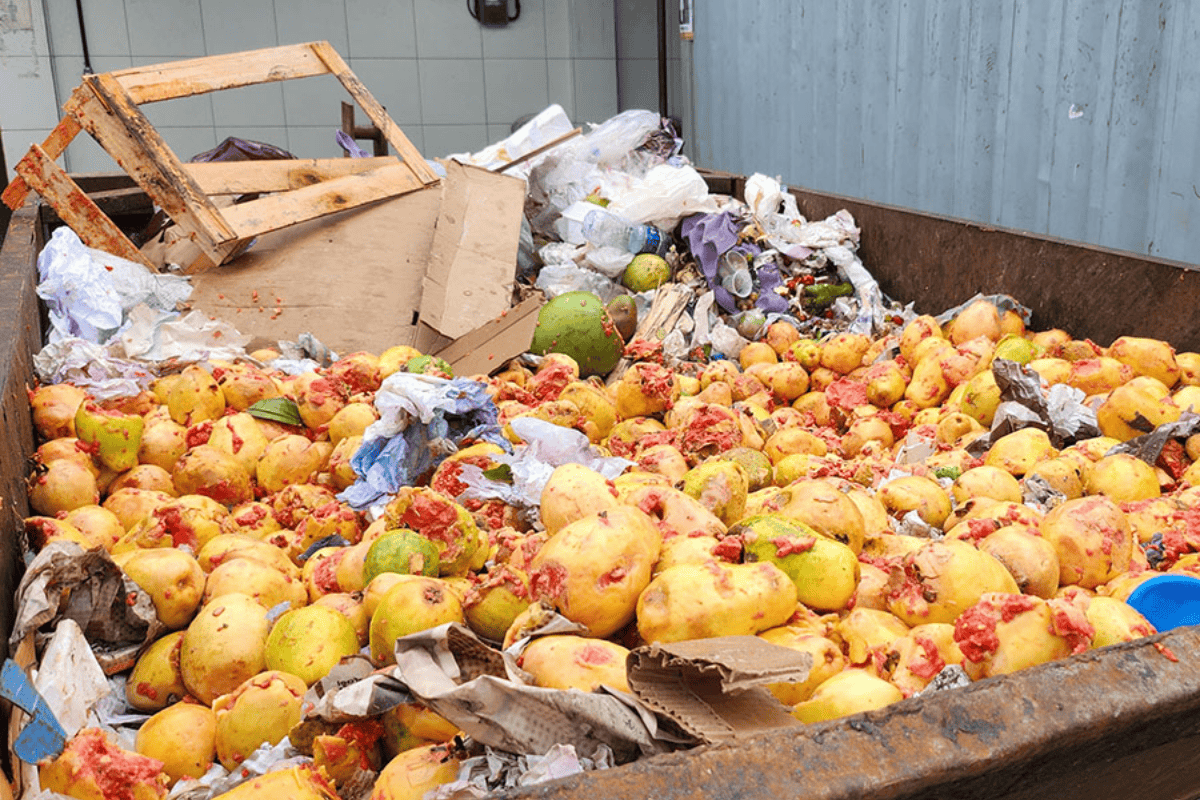 Foto: Embrapa/Divulgação