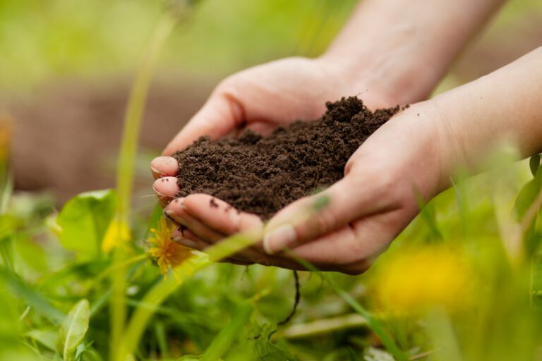 Bioinsumos combinam sustentabilidade com economia