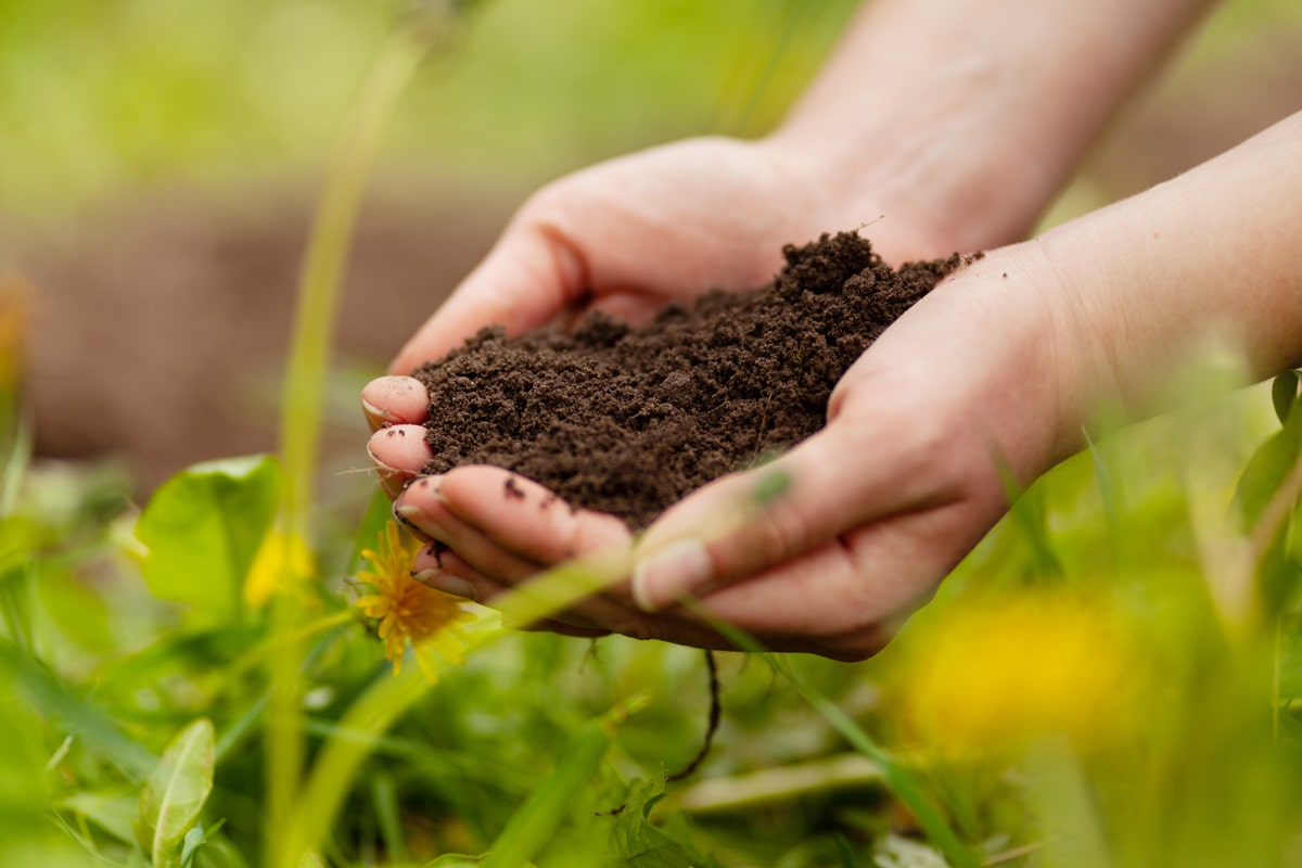 Bioinsumos combinam sustentabilidade com economia