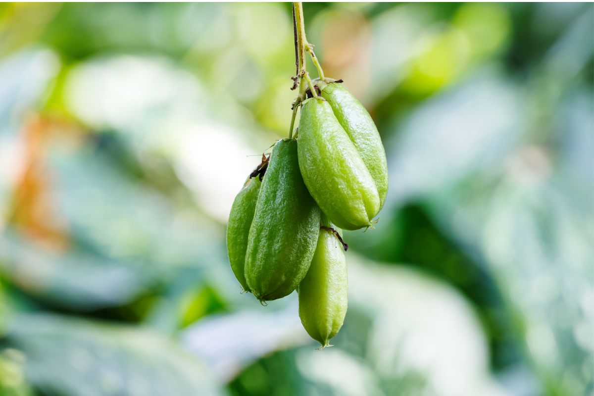 Foto: Adobe Stock