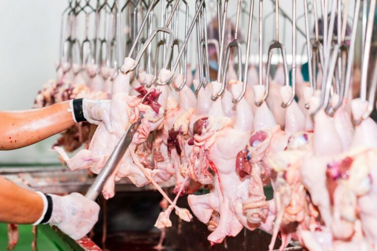 Mexicanos e chineses desembarcam no Brasil em busca de mais carnes