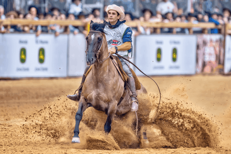 PIB do Cavalo Crioulo: raça movimenta R$ 3 bilhões ao ano no RS