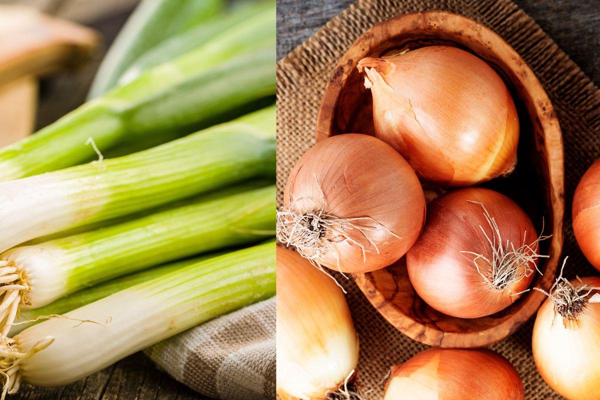 Foto: Adobe Stock