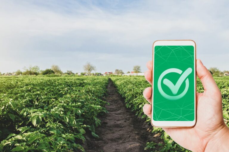 Listamos 5 cursos gratuitos no agro; saiba como se inscrever