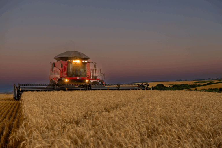 Safra agrícola somou R$ 783 bi em valor de produção em 2024, mostra IBGE