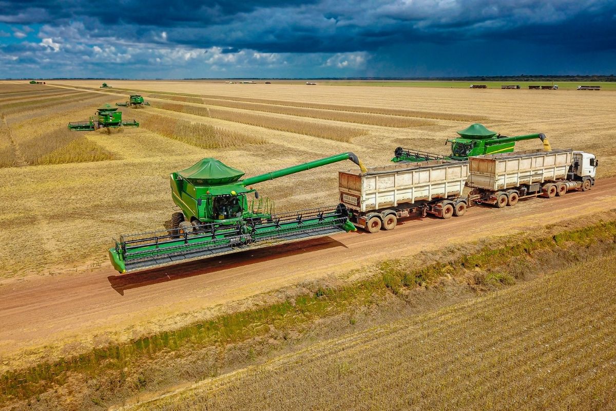 Pelo sexto ano consecutivo, o município liderou a renda agrícola. | Foto: Adobe Stock