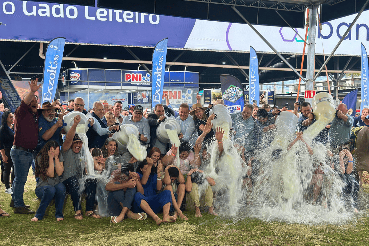 concurso leiteiro; banho de leite Expointer
