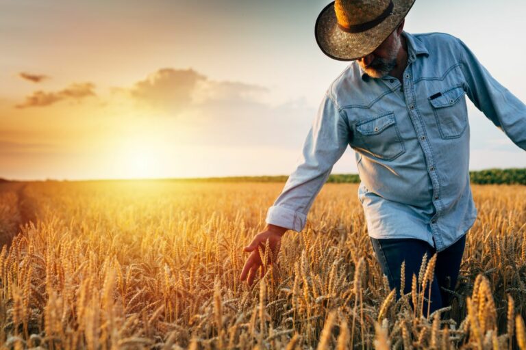 Crédito rural: Comissão da Câmara aprova projeto que proíbe venda casada