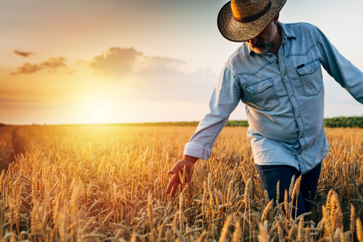 Segundo relator do projeto, venda casada continua sendo imposta aos agricultores. Foto: Adobe Stock