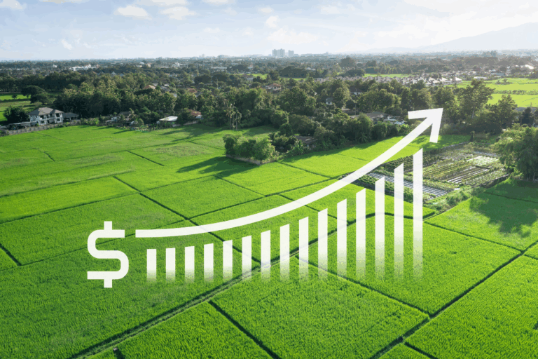 Produção agropecuária deve crescer e atingir R$ 1,4 trilhão em 2025