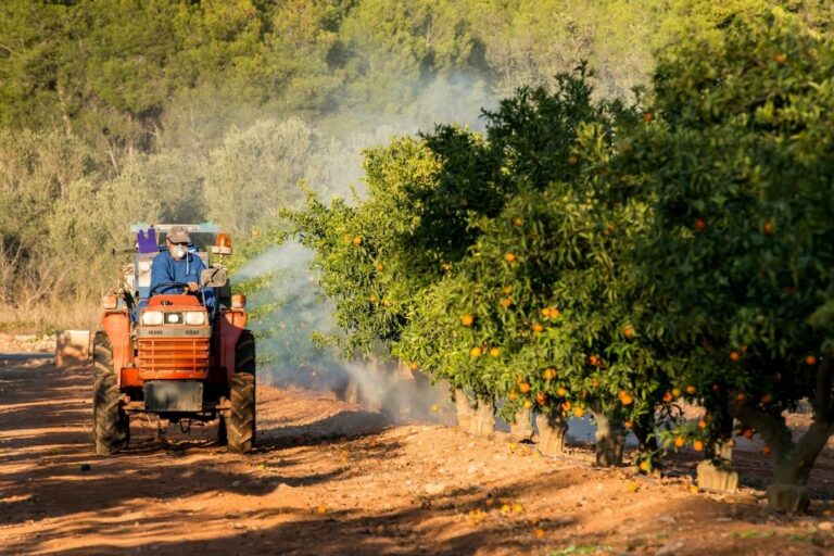 Ministério regulamenta pedidos de registro de novos defensivos agrícolas