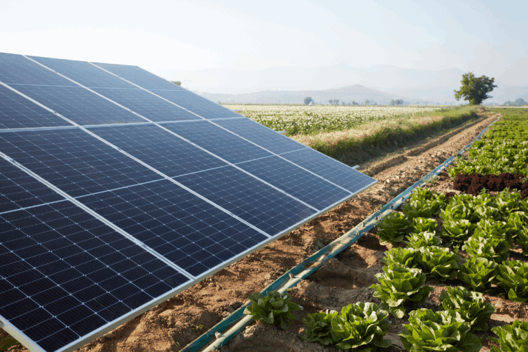 Câmara aprova incentivo à energia solar na agricultura familiar