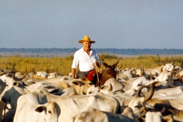 De MT para o mundo: conheça fazenda brasileira que é exemplo de sustentabilidade