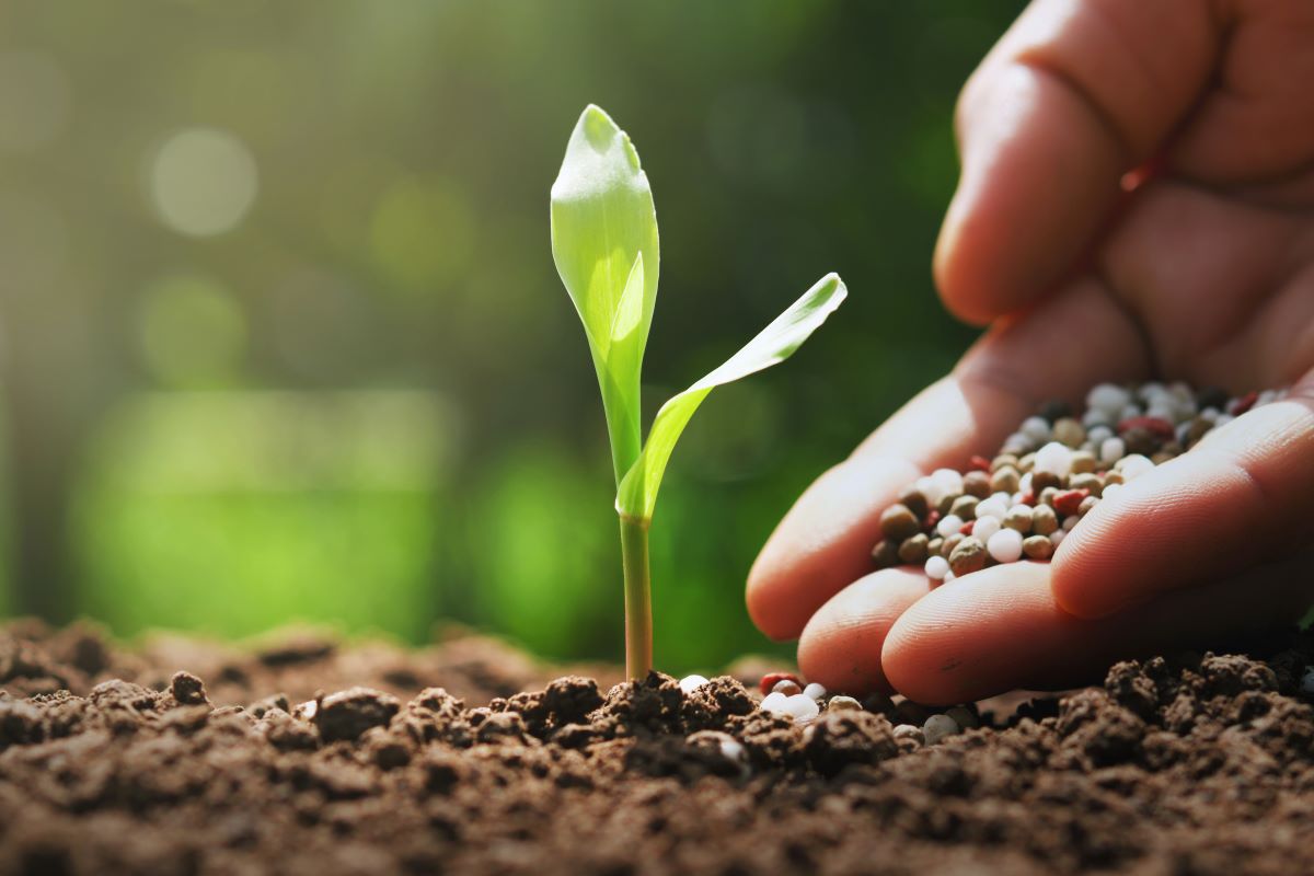 IPCF mede a relação entre indicadores de preços de fertilizantes e das principais lavouras brasileiras. Foto: Adobe Stock