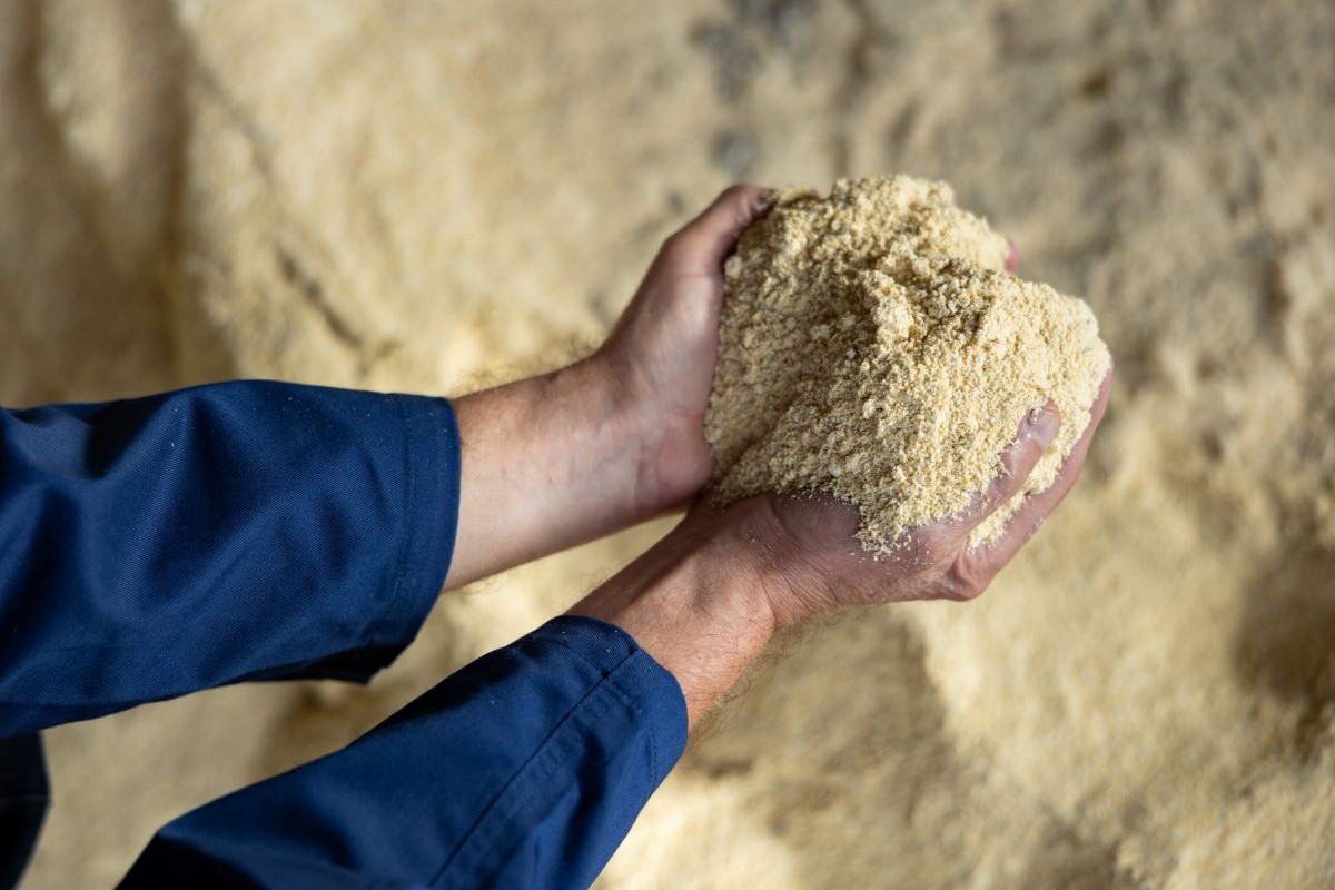 Principal produto exportado pelo setor na Argentina é o farelo de soja. Foto: Adobe Stock
