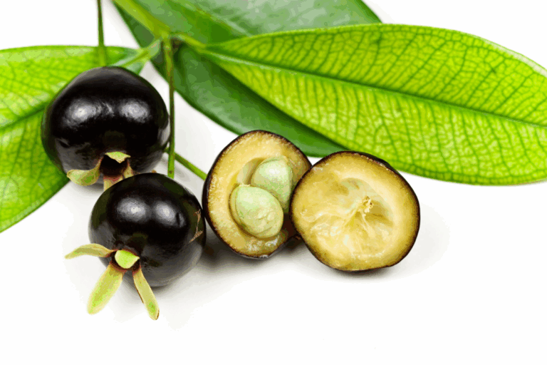 Conheça a frutinha 'parente' da jabuticaba e pouco explorada