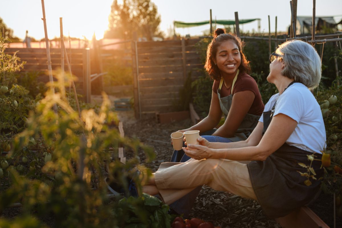 Horta comunitária. Foto: Adobe Stock