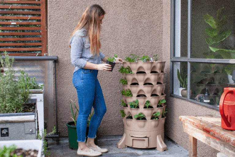 Pouco espaço em casa? Veja como fazer uma horta vertical