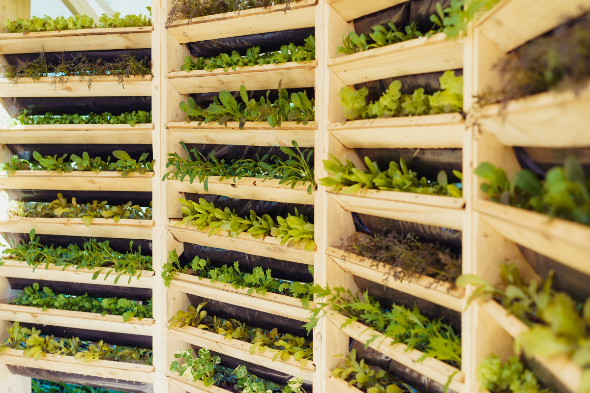 horta vertical
