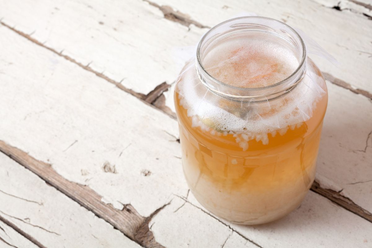 kefir