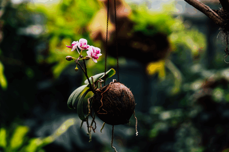 A técnica japonesa que cria plantas flutuantes