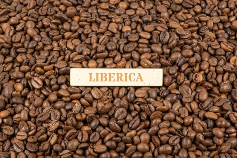 Conheça este café mais resistente às mudanças climáticas
