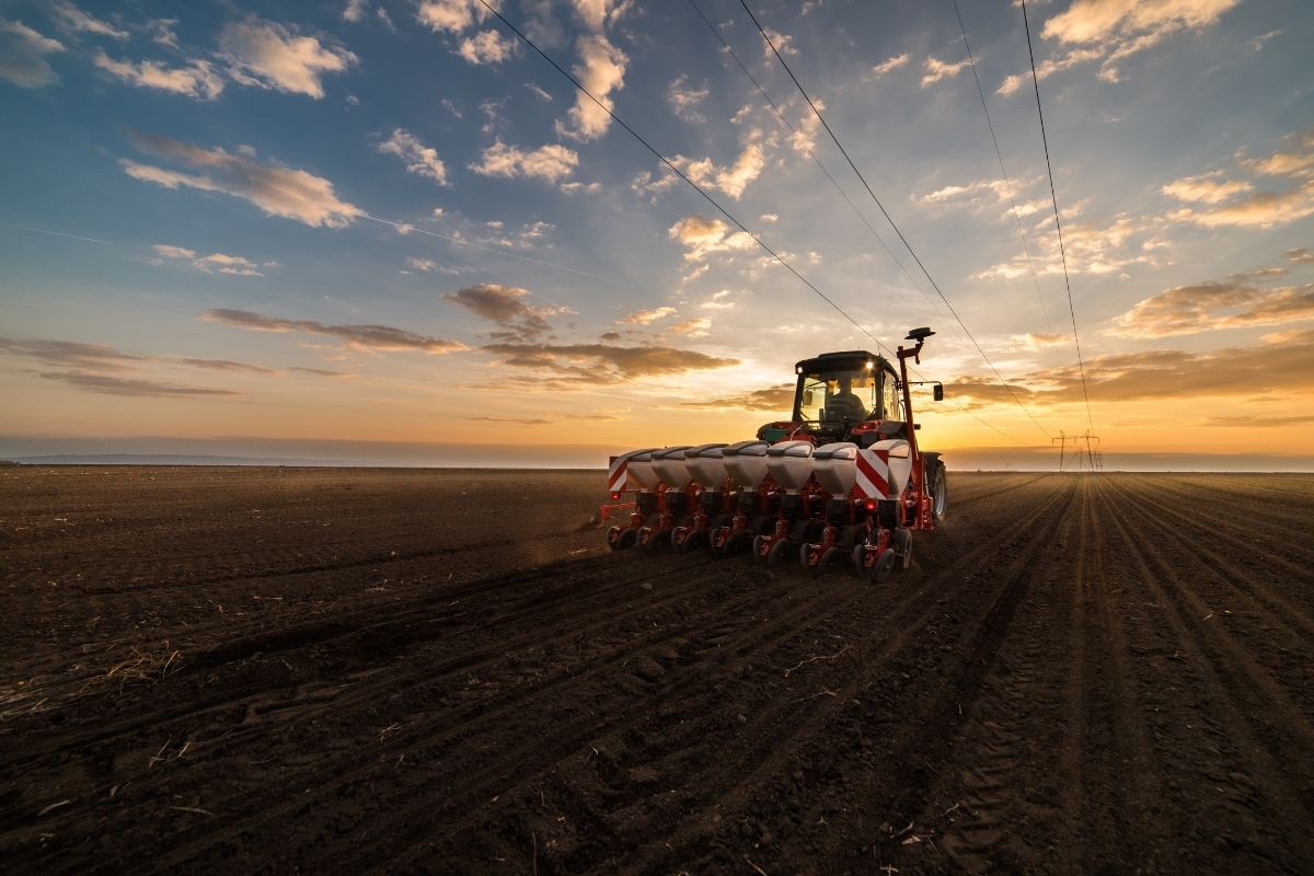 Em MT, maior estado produtor de grãos do Brasil, as plantadeiras chegaram a 0,55% da área estimada. Foto: Adobe Stock