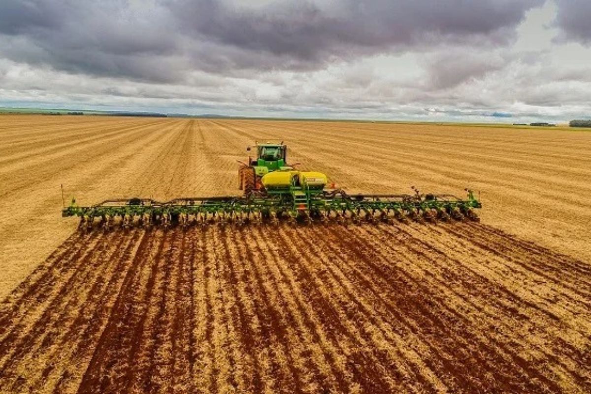 Agricultura do Vale do Araguaia vem registrando crescimento de 35% ao ano. Foto: Divulgação 