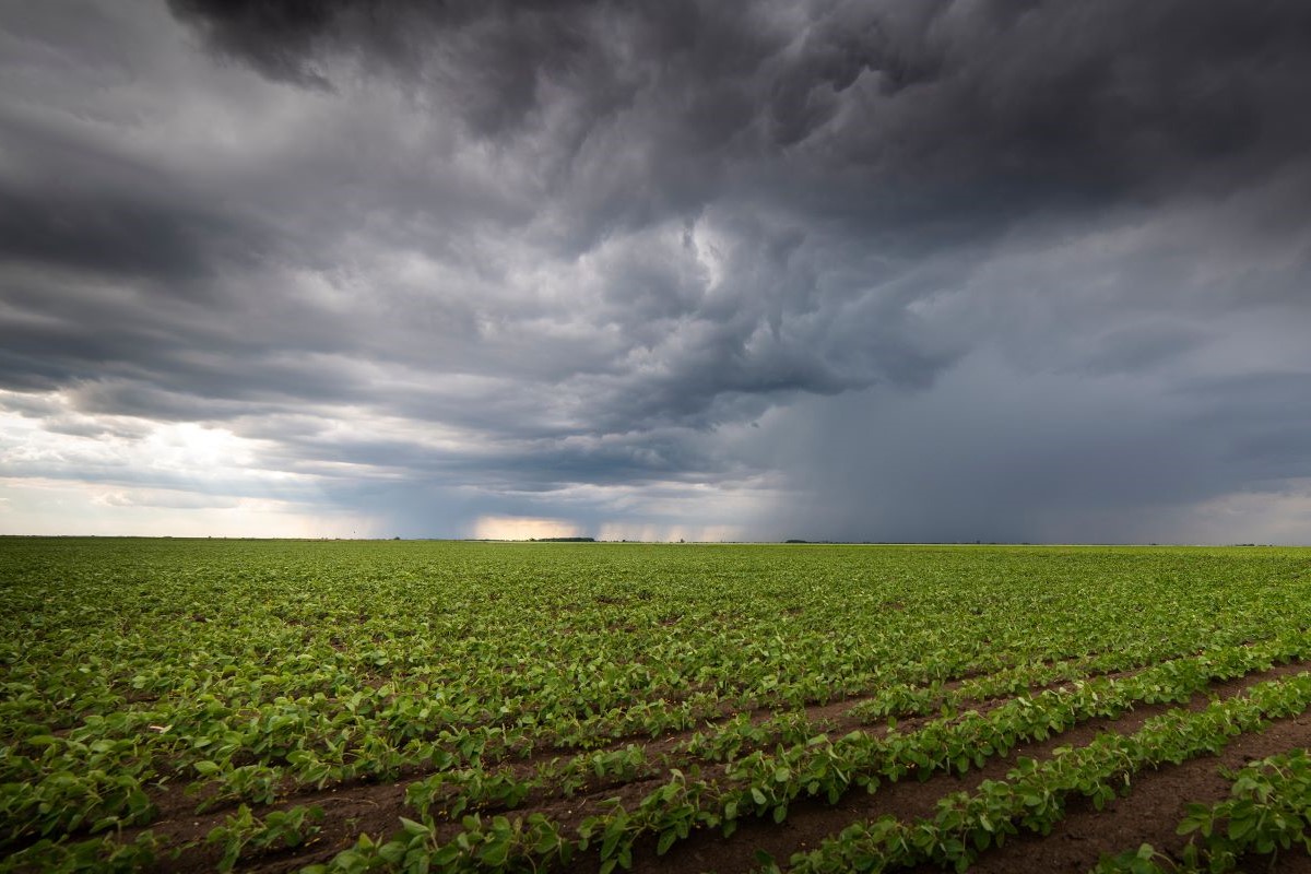 Chuvas previstas para outubro serão benéficas para que o plantio de grãos avance no Brasil. Foto: Adobe Stock
