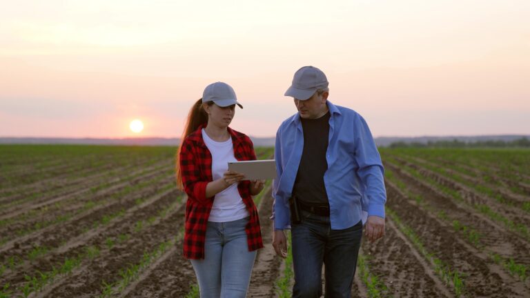 Seguro rural pode receber recursos do crédito agrícola