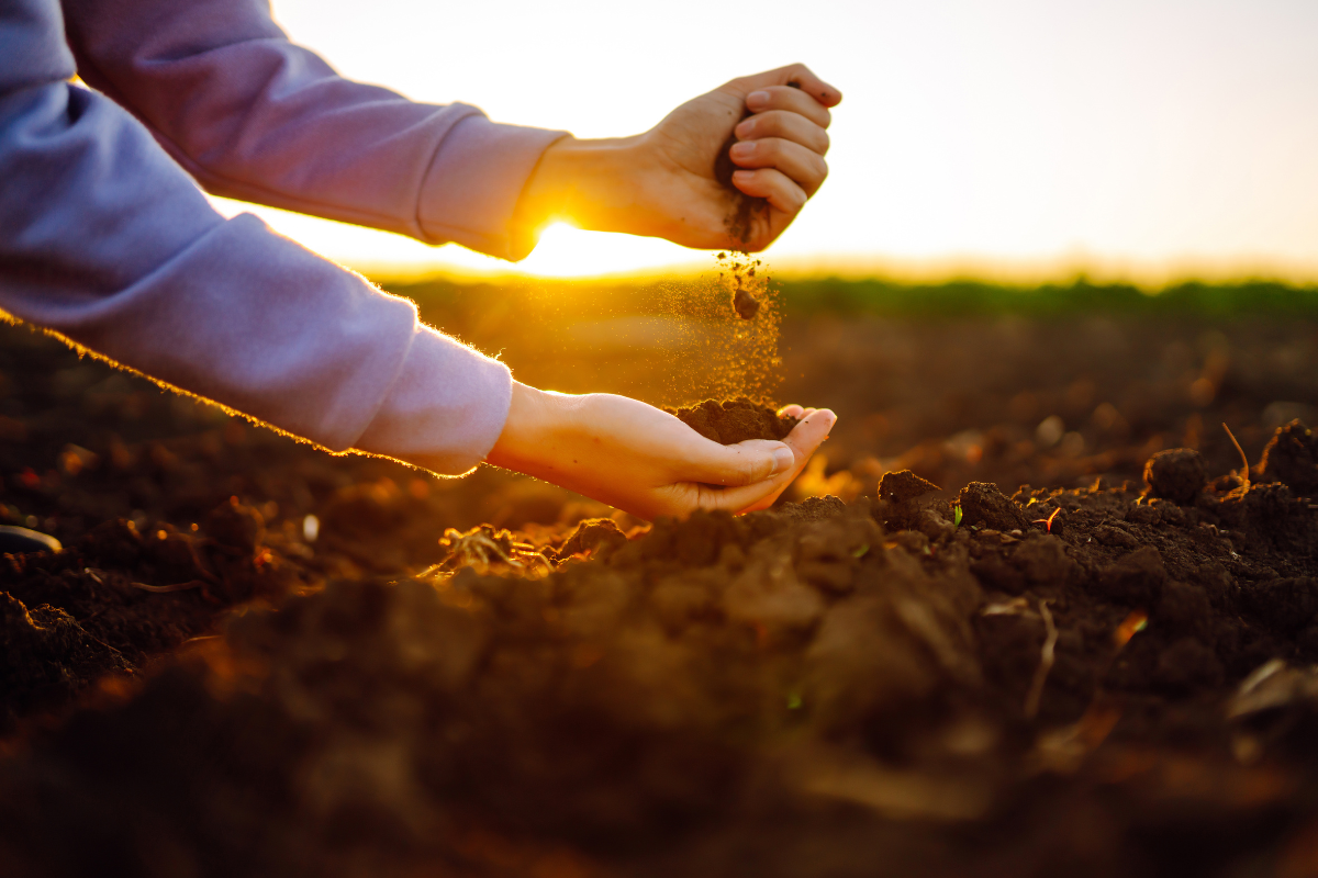 Foto: Adobe Stock