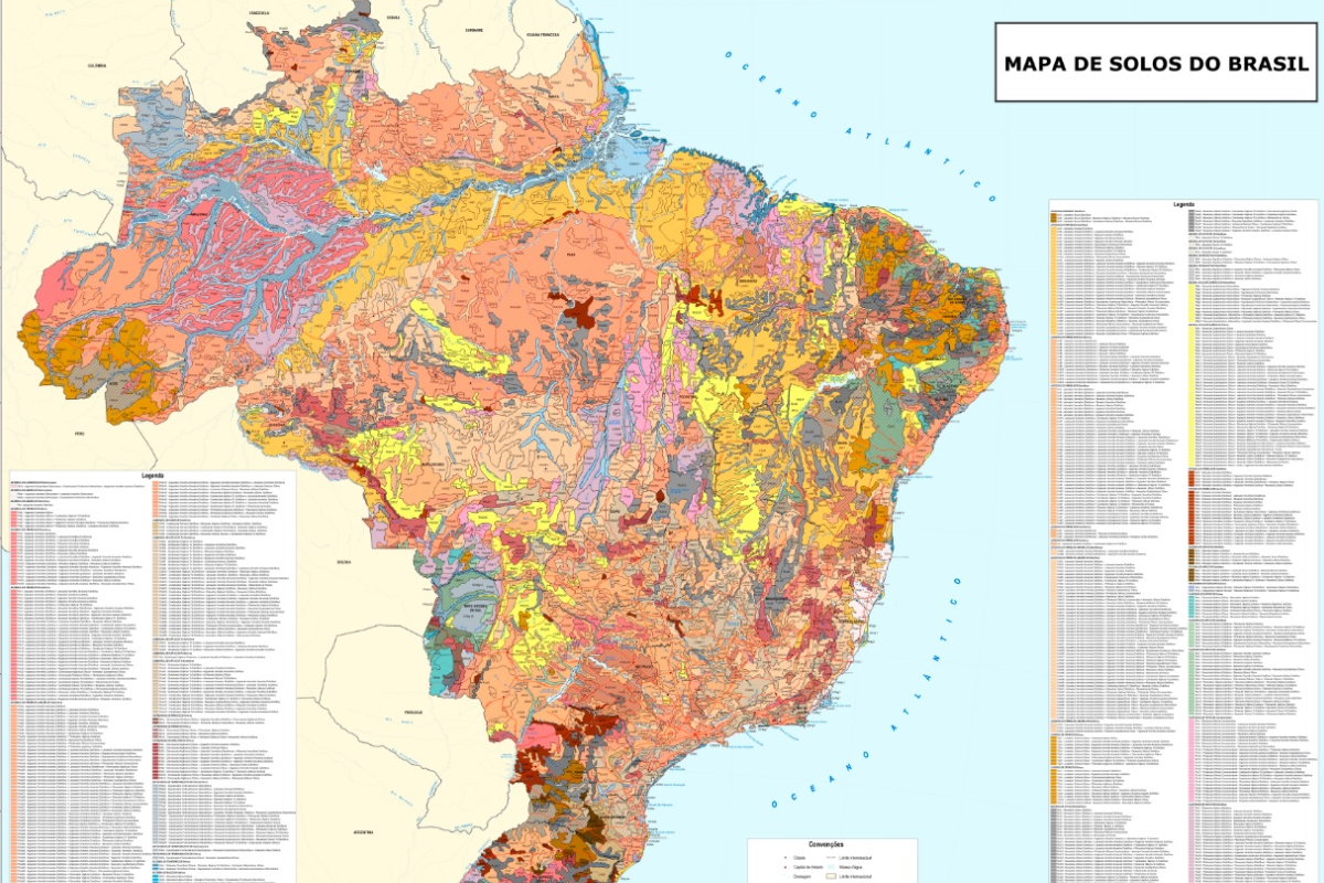 tipos de solos do Brasil