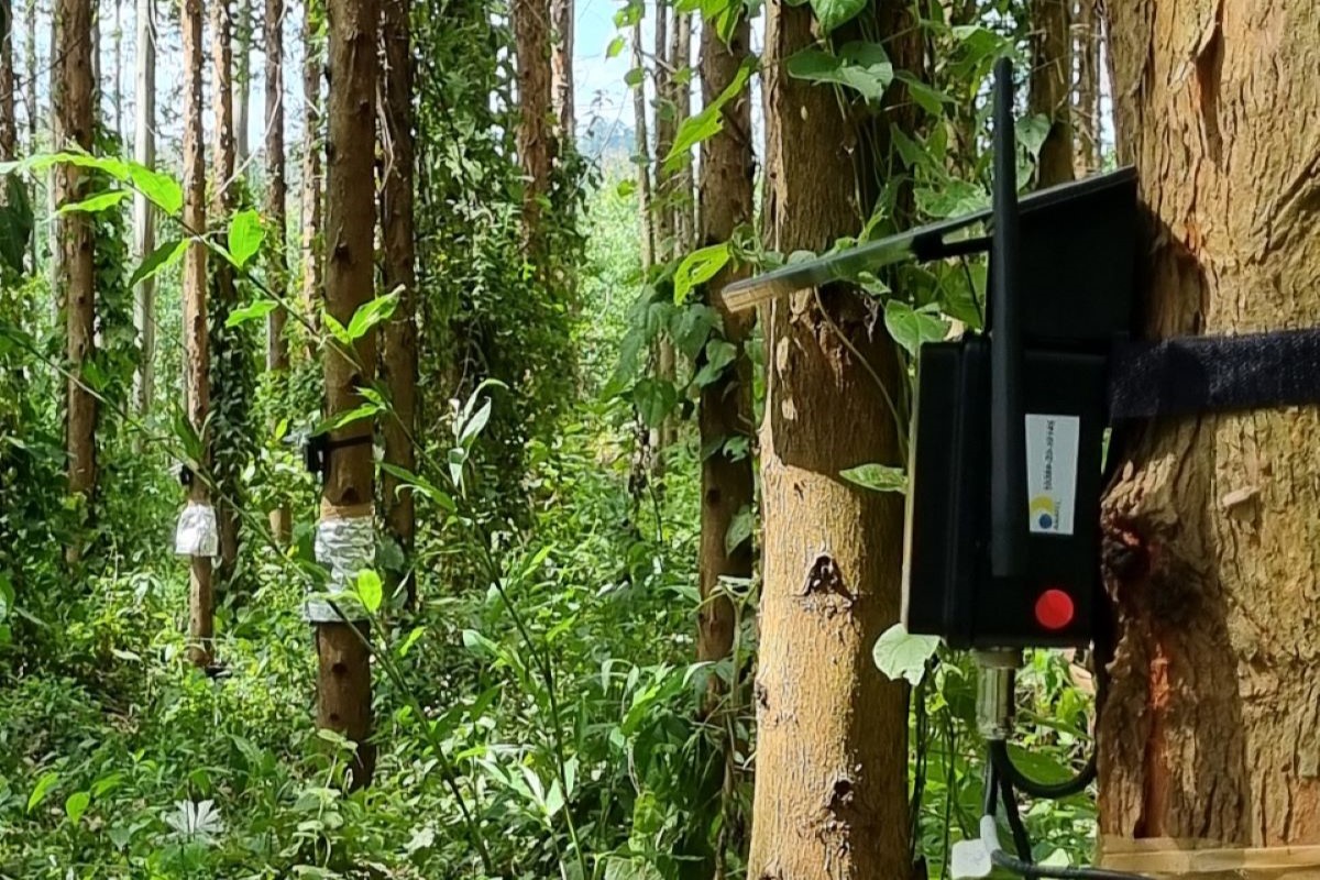 Equipamento contém mecanismos capazes de fazer a medição das plantas. Foto: Senai/Divulgação