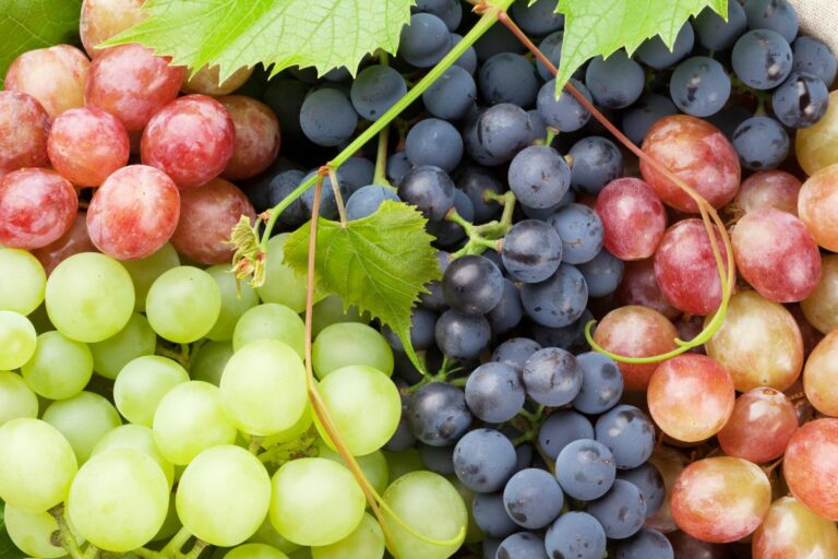 Você sabia que existe diferença entre uva de mesa e uva de vinho?