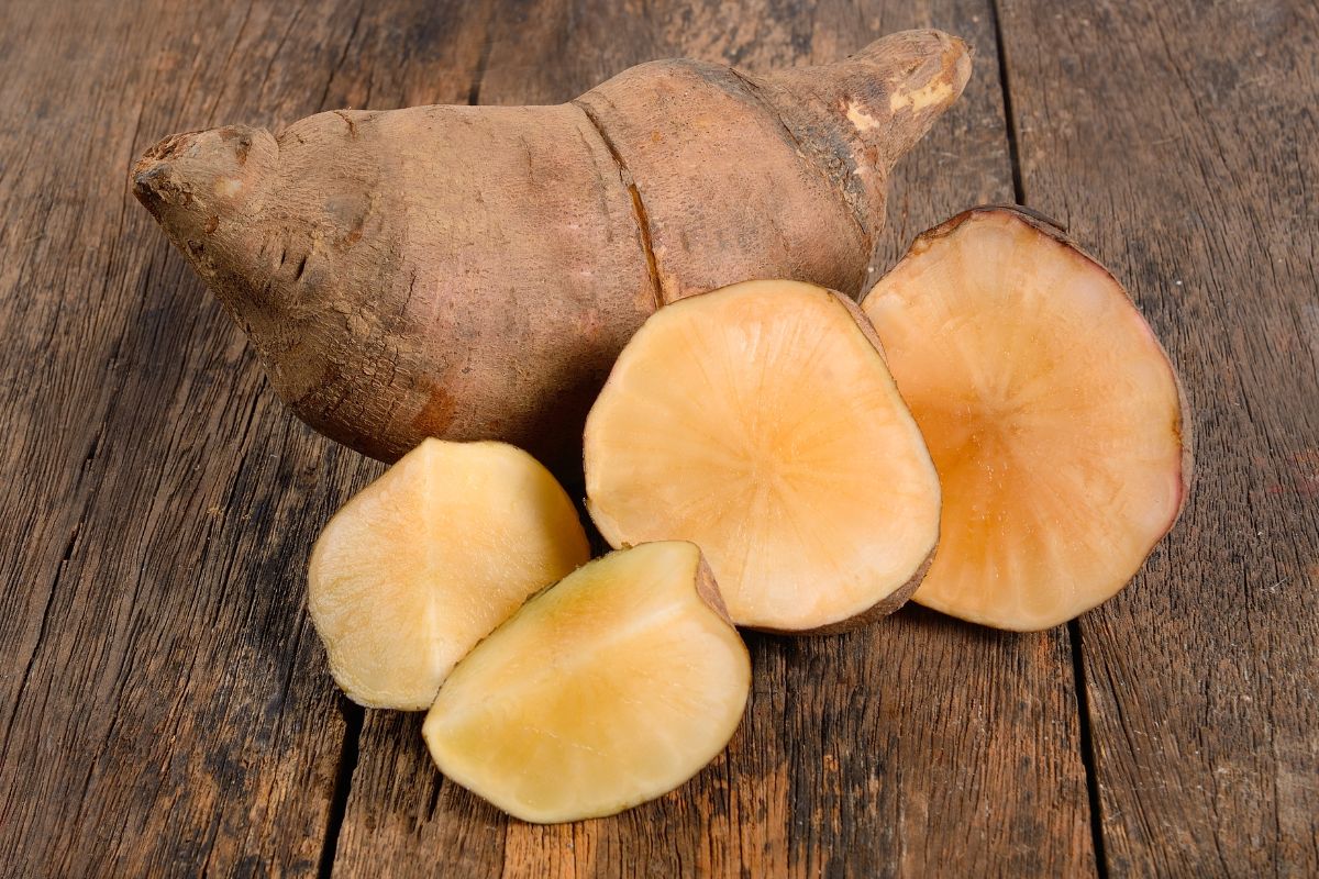 batata yacon