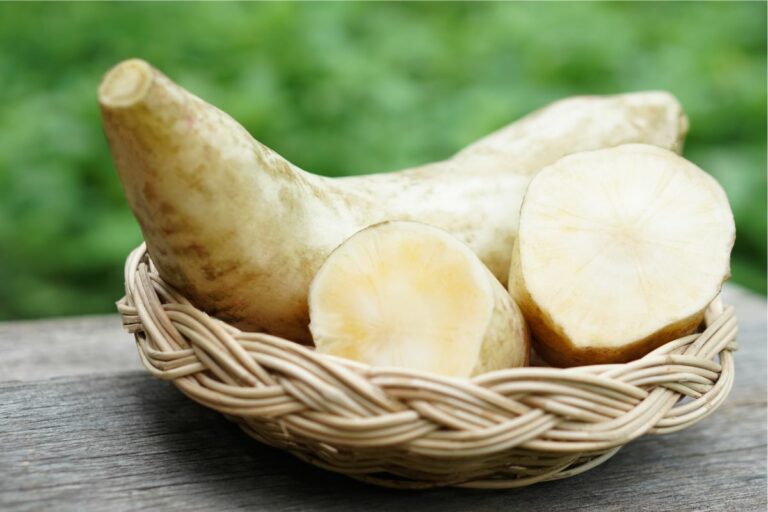 Por que agricultores estão apostando na produção dessa batata?