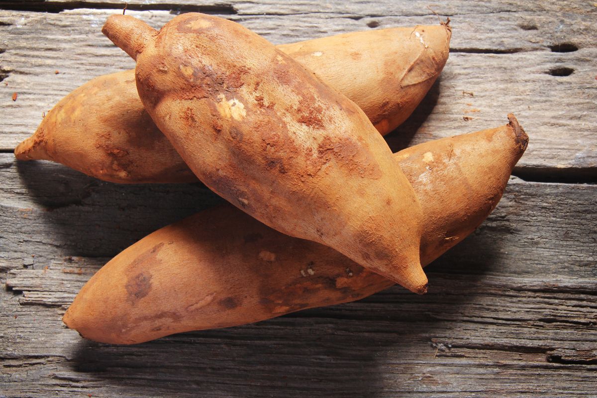 batata yacon