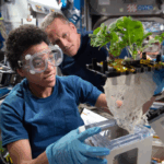 agricultura espacial