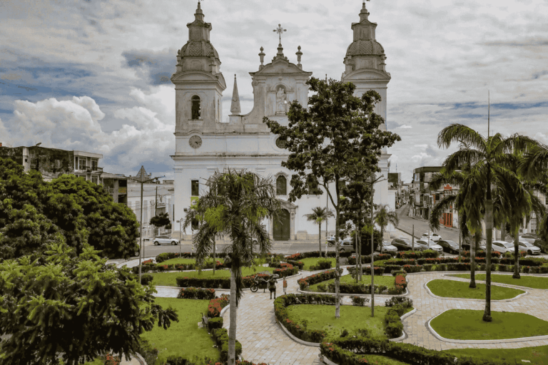 “Futuro da agricultura brasileira será mais bioeconômico”, afirma enviado da COP 30