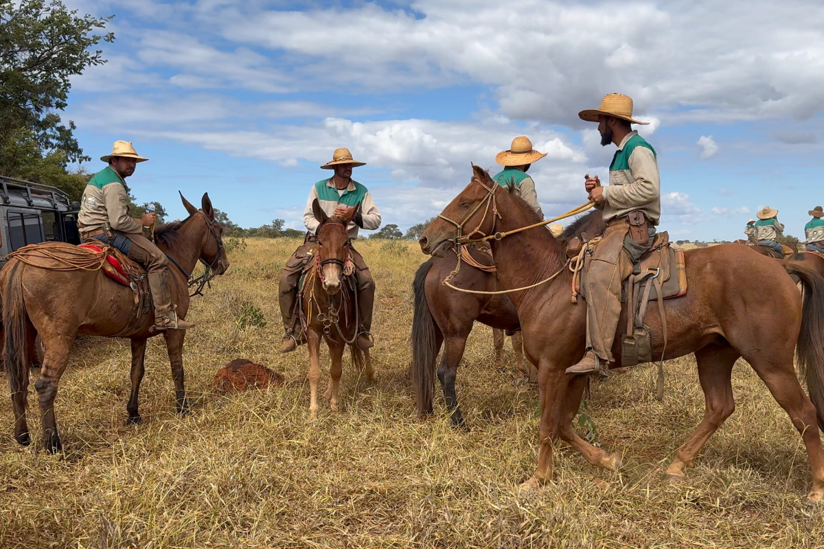 Bem-estar humano - pecuária de Rodrigo Canabrava (1)