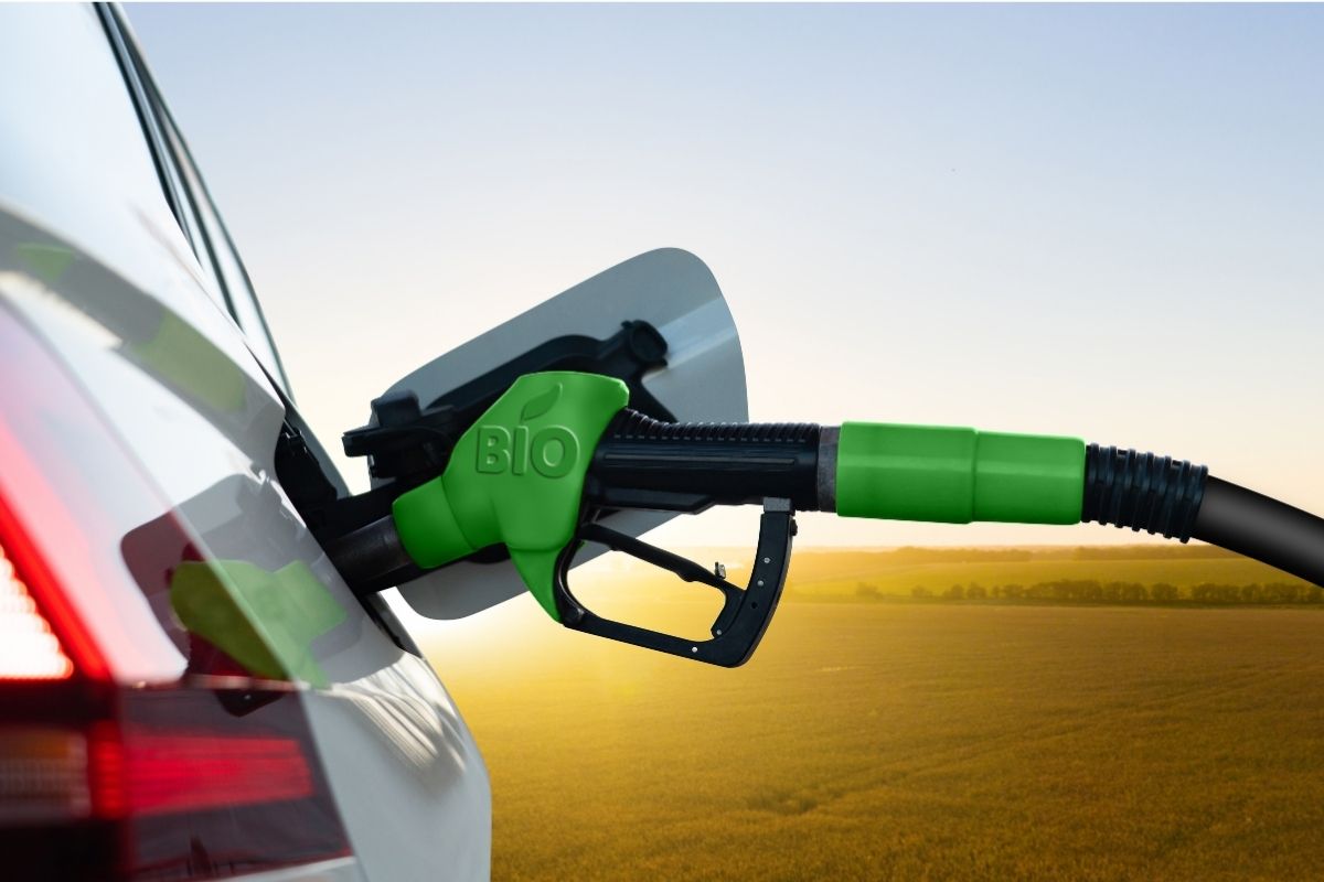 O transporte marítimo já usa 24% de biodiesel. Foto: Adobe Stock